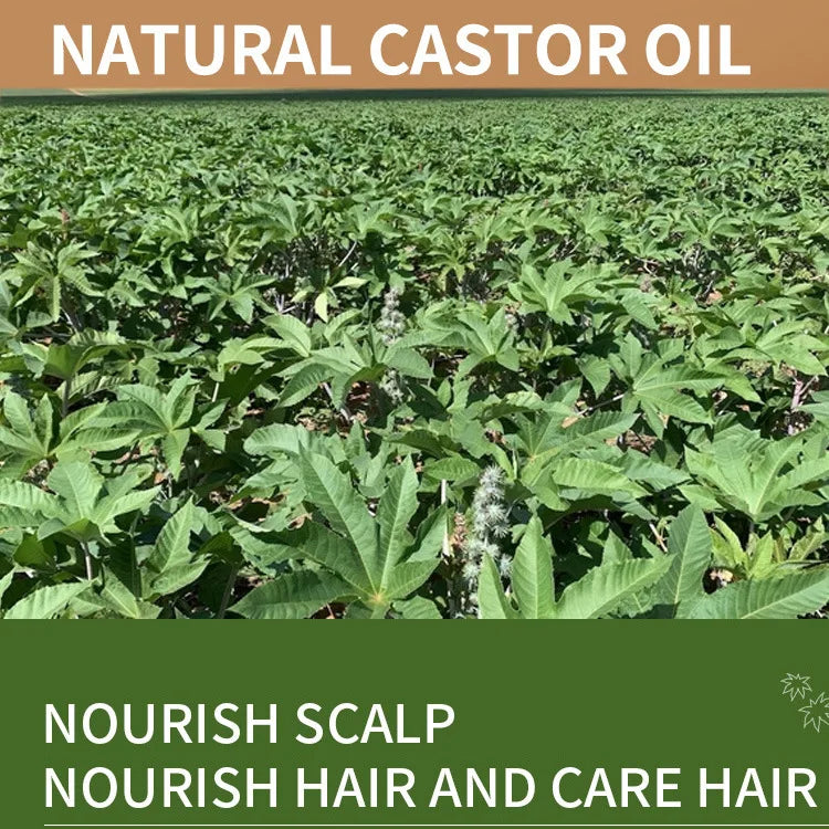 100% Pure Castor Oil For Hair Growth, Eyelashes And Eyebrows - Carrier Oil For Essential Oils, Aromatherapy And Massage